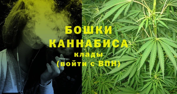 стафф Анжеро-Судженск