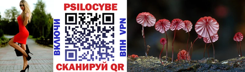 наркошоп  Железногорск-Илимский  мега как войти  Псилоцибиновые грибы MAGIC MUSHROOMS 